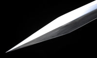 Lucius Gladius Sword of Lucius from Gladiator II in Just $88 (Spring Steel & D2 Steel versions are Available)