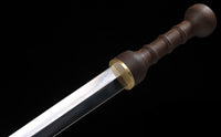 Lucius Gladius Sword of Lucius from Gladiator II in Just $88 (Spring Steel & D2 Steel versions are Available)